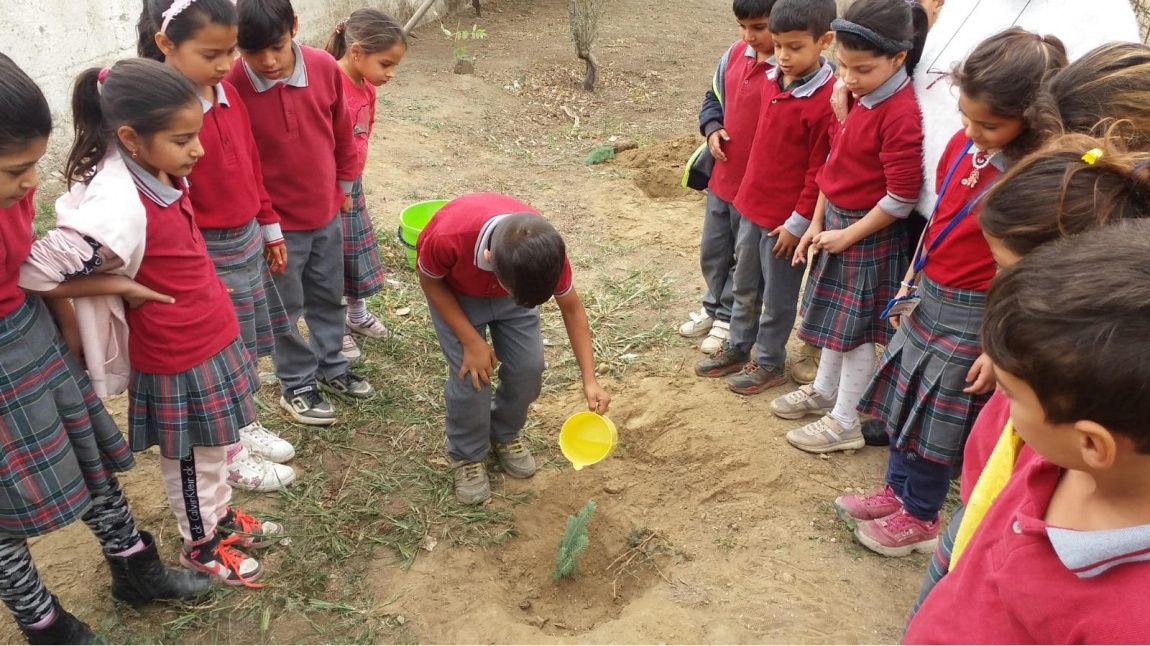 ''Geleceğe Nefes'' Projesi Kapsamında Okul Bahçemize Fidan Dikimi Gerçekleştirdik